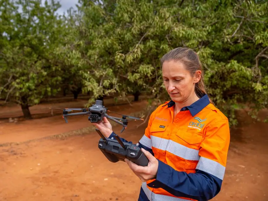 Ardal surveyor holding an RTK drone and controller in an almond orchard